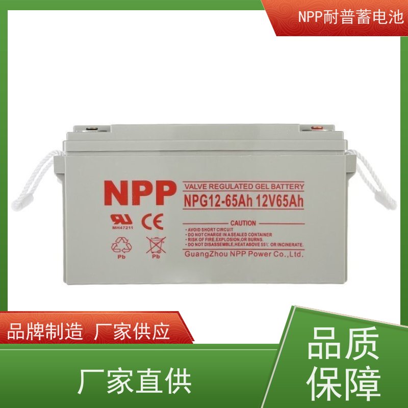 直流屏蓄电池 NPG12-65 适用机房储能蓄电 库存充足