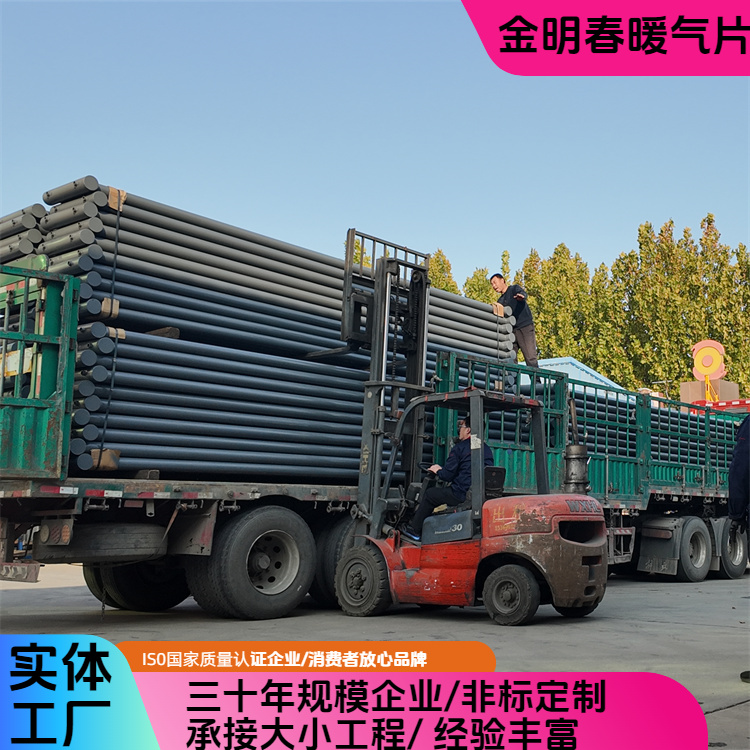 金明春 厂家 蒸汽型光排管D76-2-4 体积小重量轻 按需定制