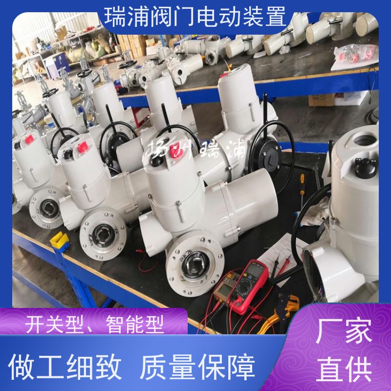 瑞浦多回转DZW30智能一体化用于闸阀、截止阀、电动执行机构
