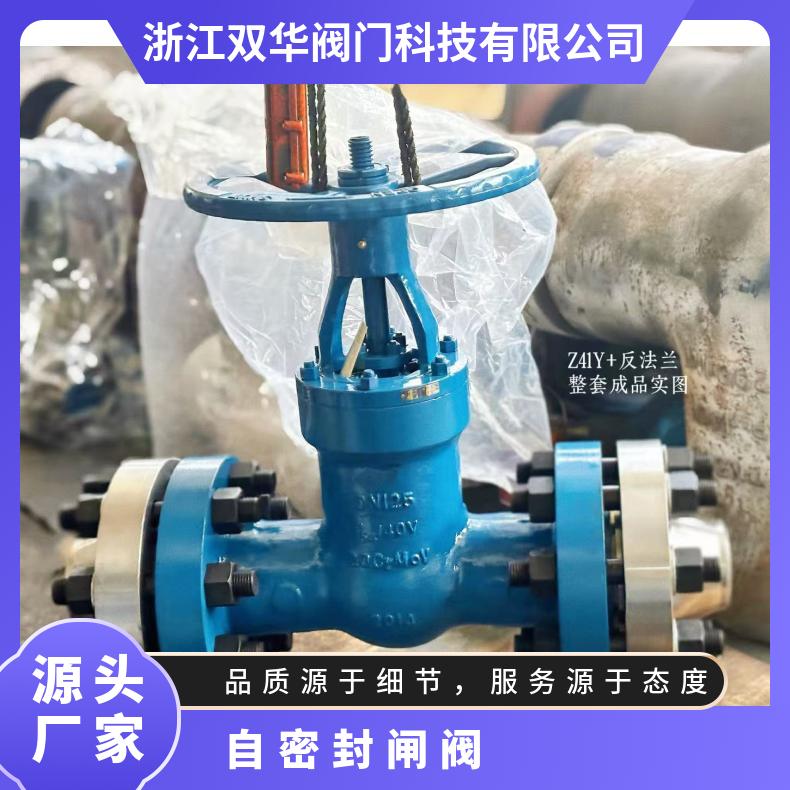 PE水管铸造自密封闸阀Z41Y农田灌溉自来水配套法兰头对焊暗杆