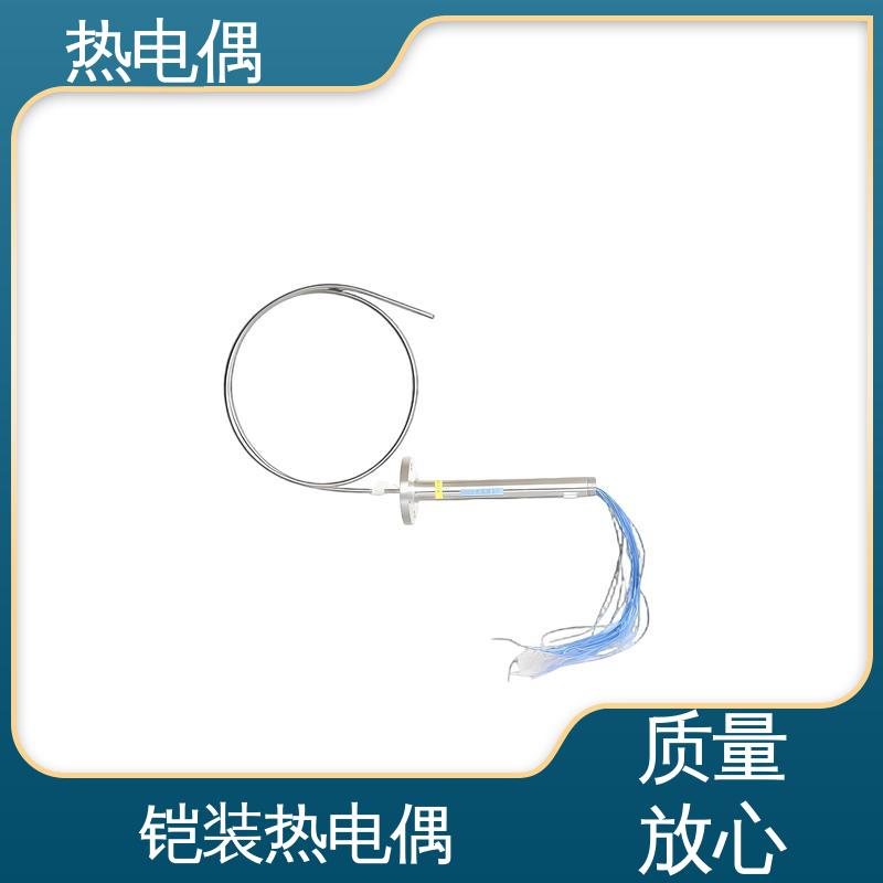 天康 WRNK2-391 铠装热电偶 耐用性强 实力厂家 支持定制
