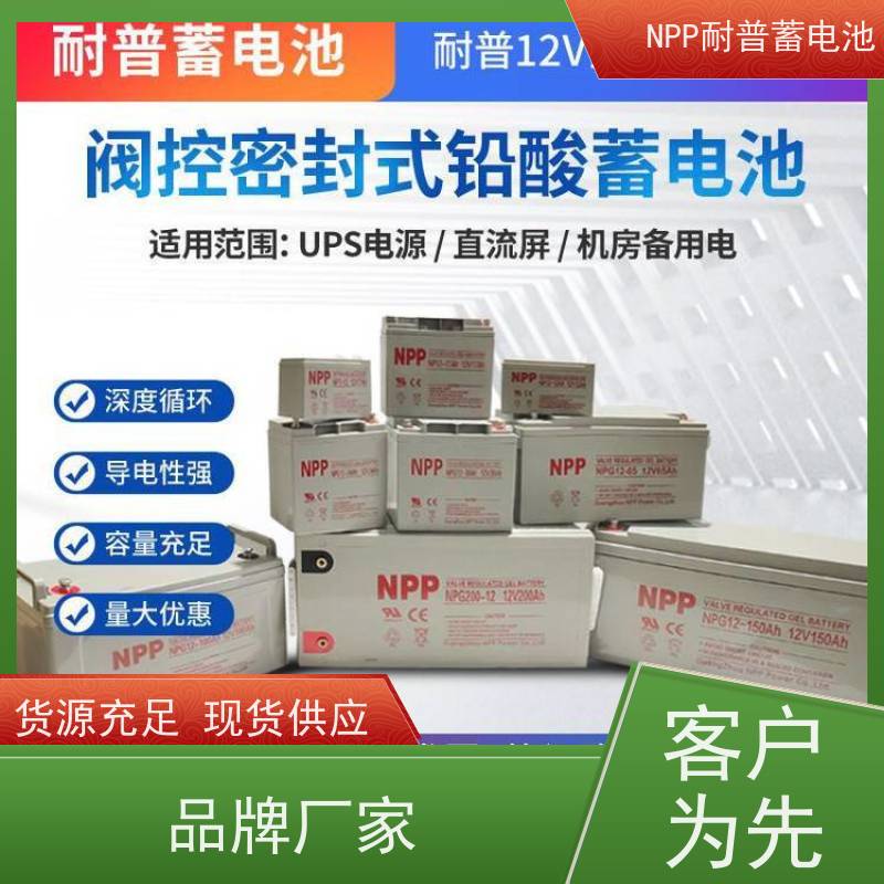 UPS电源电池 NPG12-100 阀控式密封储能型 质量保证 