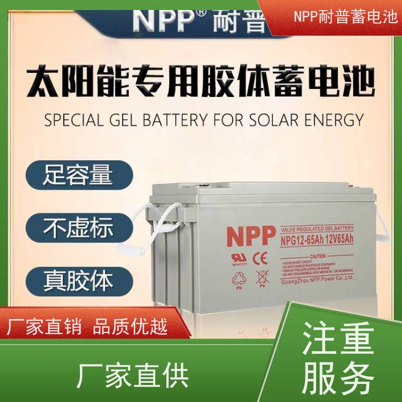 机房UPS电池 NPG12-100 适用EPS ups电源 安装维修维护