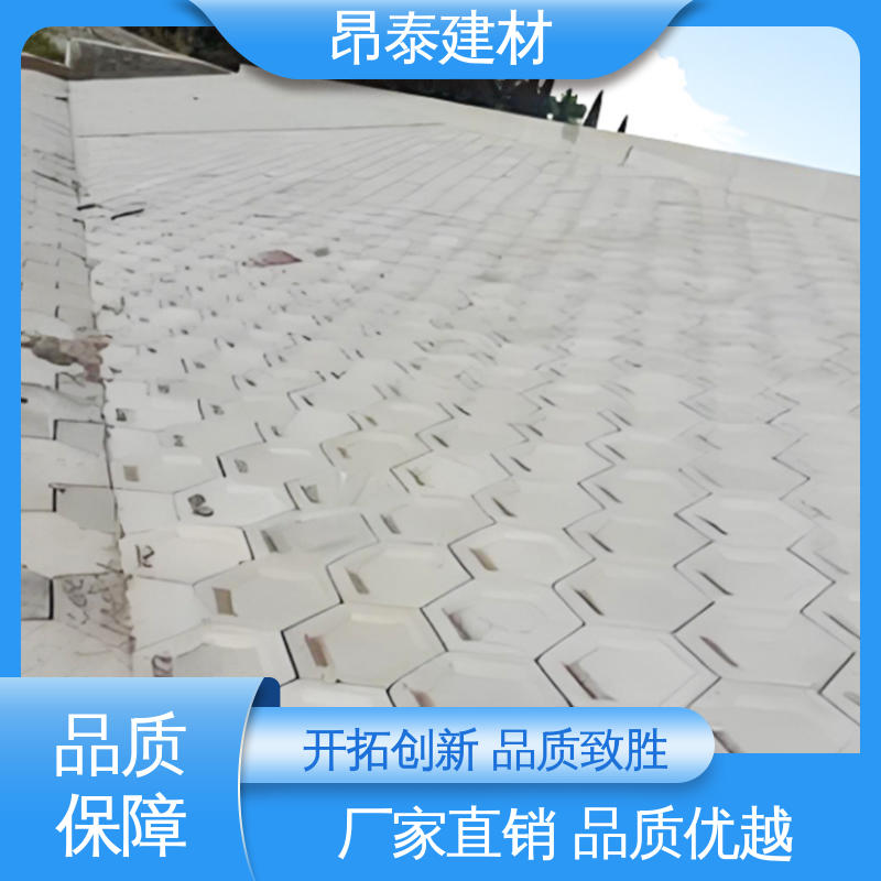 多种规格 抗渗漏性强 混泥土实心砖 结构稳定 六角护坡砖