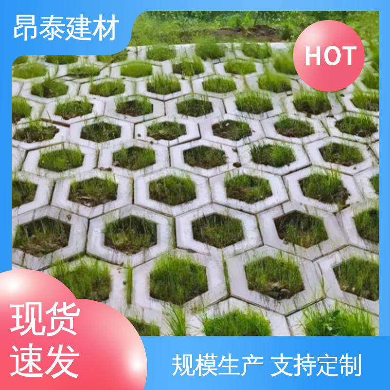 实力商家 实心水泥道路砖 六角护坡砖 不易变形 承压能力强