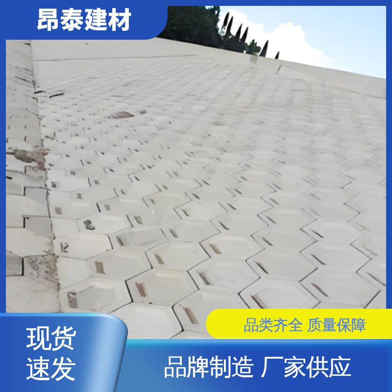 抗剪能力强 实心水泥道路砖 结构稳定 六棱护坡砖 昂泰建材