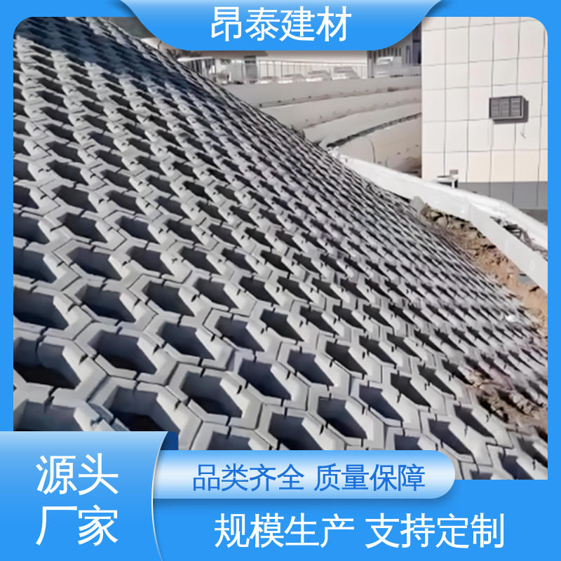 多种规格 六棱护坡砖 实心水泥道路砖 做工精细 承压能力强