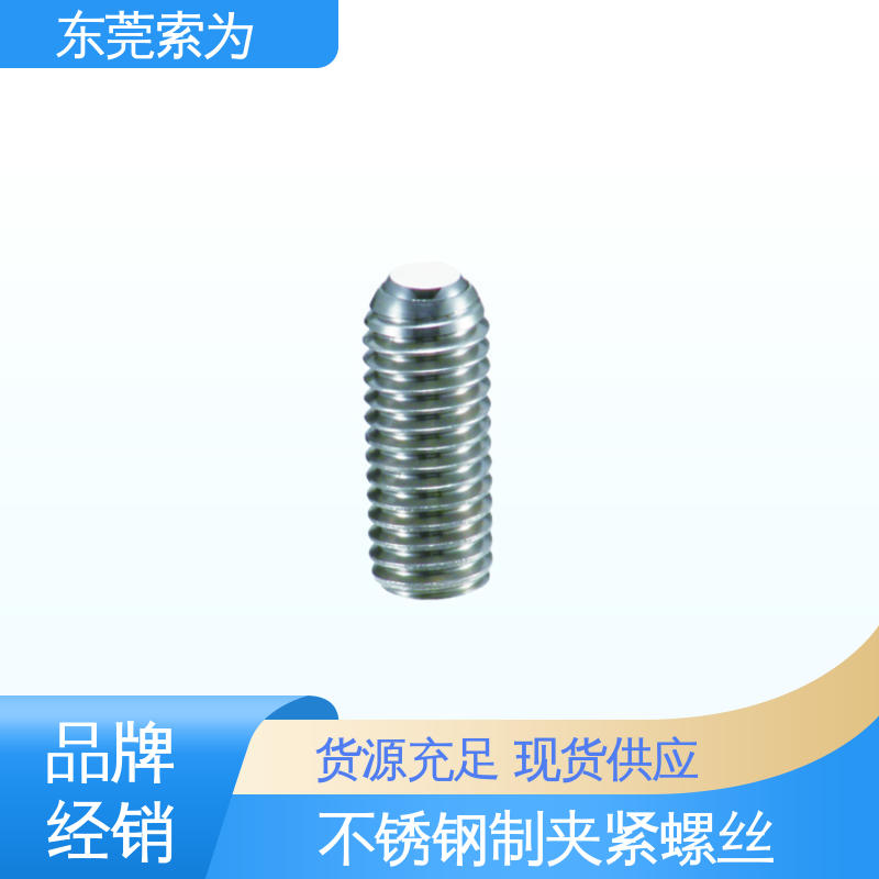 批发供应 NBK 不锈钢夹紧螺丝 SCSS-F 用于汽车制造