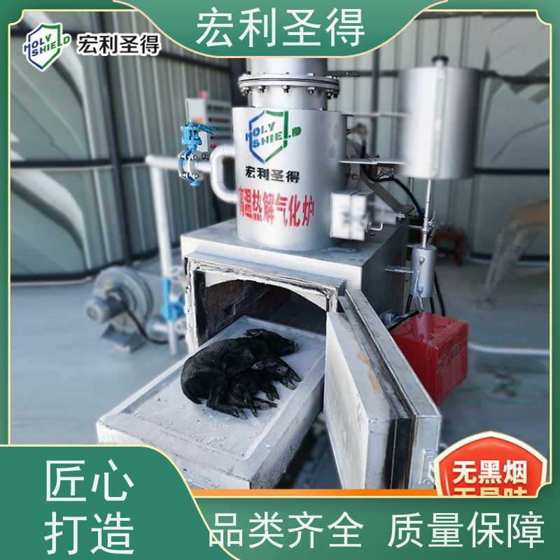 高温焚烧动物尸体处理 温度实时监控智能控制宠物焚化炉