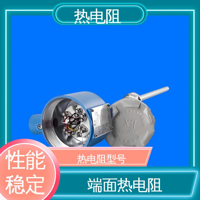 天康 WZP-131 端面热电阻 输出信号大 厂家供应 现货充足