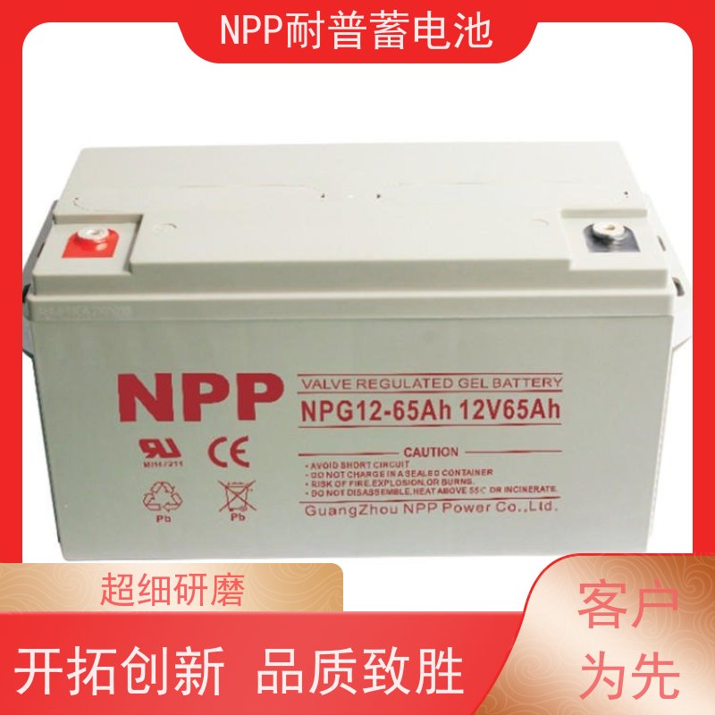 UPS电源电池 NPG12-200 阀控式密封储能型 维修维保服务