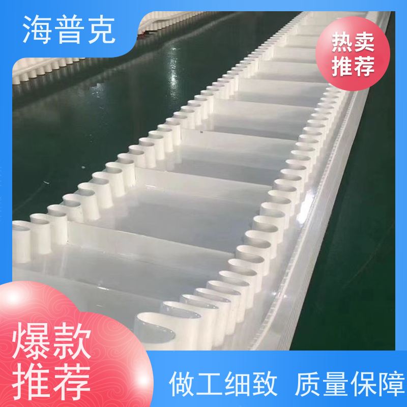 海普克 输送带 小型食品粮食 可定制裙边高度 高强度耐拉伸
