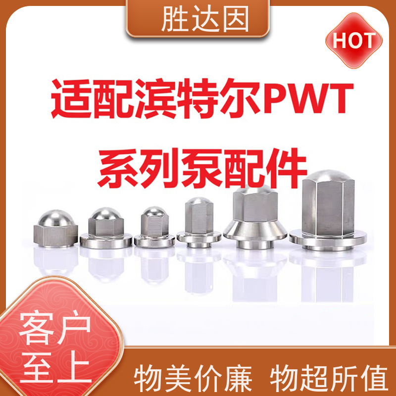 pentair滨特尔 高压泵 PWT80-50-200S PWT250-200-315S 系列双吸泵配件生产定做 致电咨询