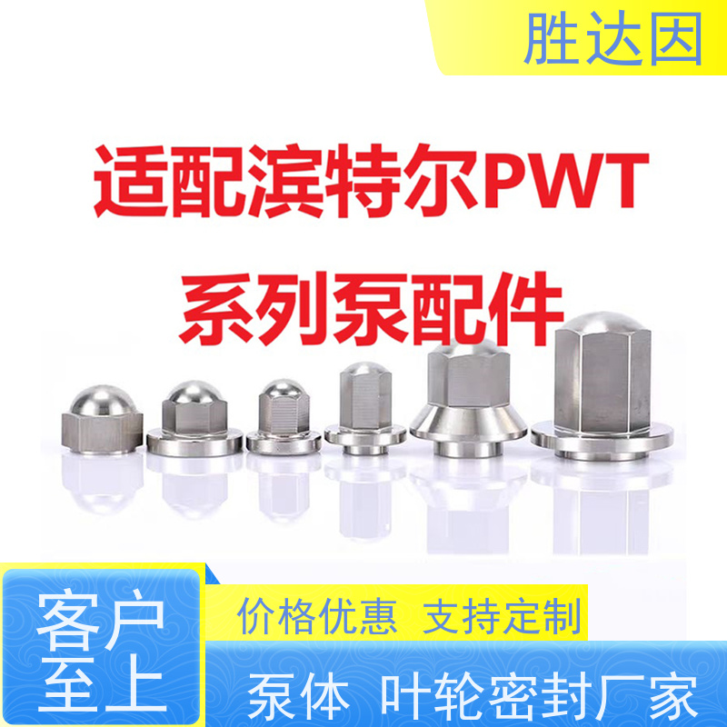 pentair滨特尔 高压泵 PWT125-80-200S PWT350-300-315S 系列双吸泵配件生产定做 提高吸水效率