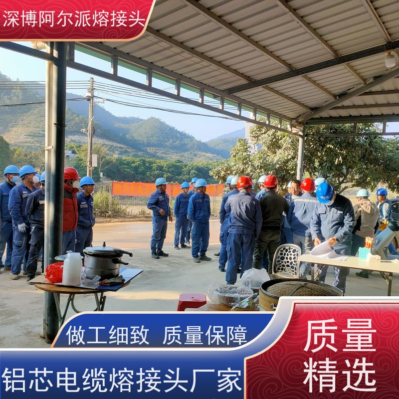深博阿尔派 铝芯 高压电缆熔融接头 现场设计 口碑厂家