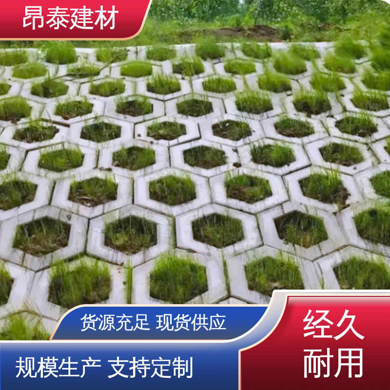 安装便捷 六棱护坡砖 适用范围广 实心水泥道路砖 多种规格