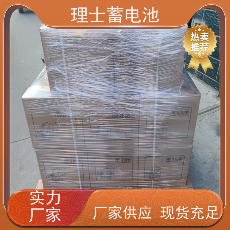 LEOCH理士蓄电池 12V250AH 机房/直流屏ups电源专用储能 质保三年