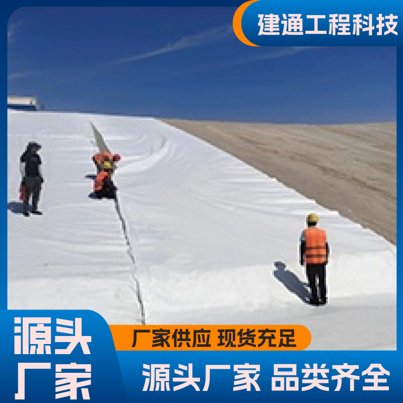 图6