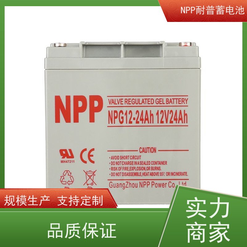直流屏蓄电池 NPG12-250 阀控式密封储能型 性能稳定
