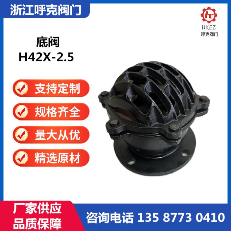 呼克 铸铁底阀 H42X 水泵单向阀 铸钢不锈钢材质，过滤杂质