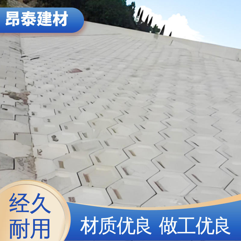 多年行业经验 防腐性能高 六棱护坡砖 售后可靠 多种规格