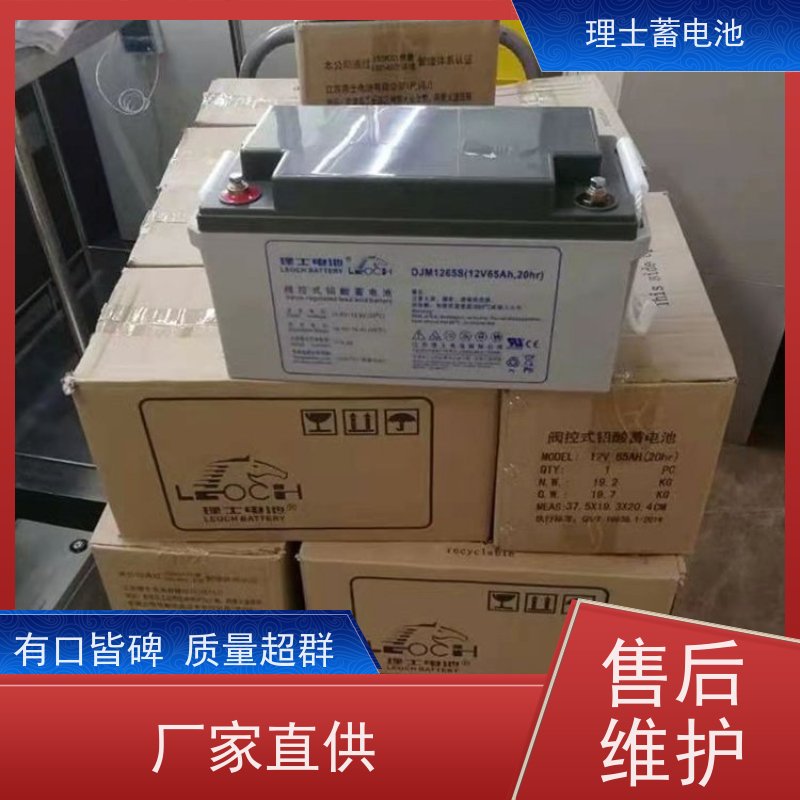 理士工厂 DJM1238 机房通信EPS应急储能电源 质量保证