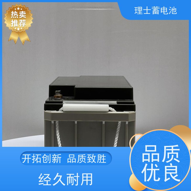 理士电池 12V24AH 适用光伏太阳能通信 实力厂家