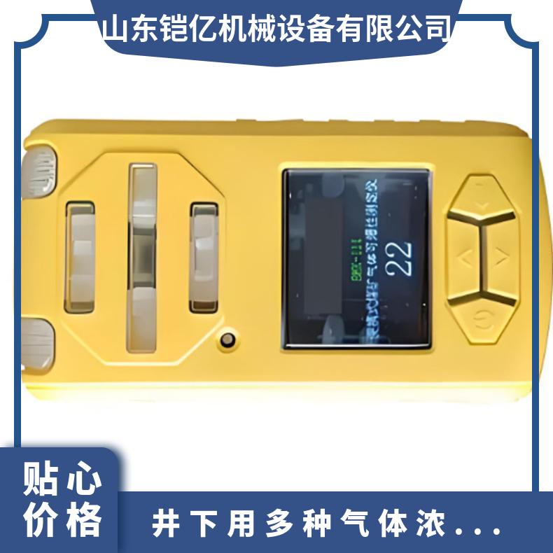型号CD4煤矿用井下采样用多种气体浓度测定器