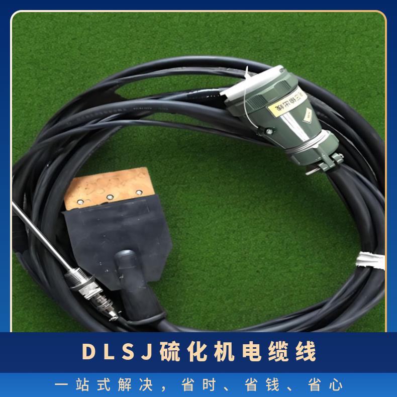DLSJ硫化机电缆线 输入输出电源线长度可选择