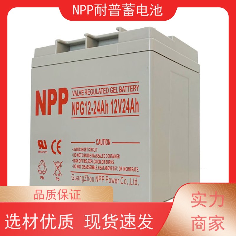 UPS不间断电源蓄电池 NPG12-250 适用机房储能蓄电 性能稳定