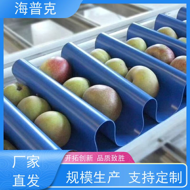 海普克 食品输送带 耐高温 可定制裙边高度 高强度耐拉伸