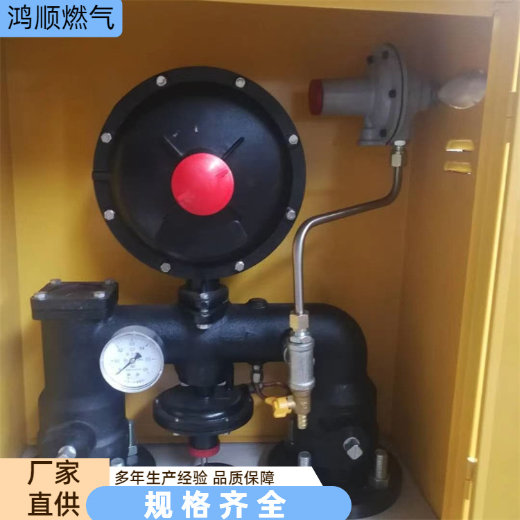 鸿顺 厂家 燃气调压箱 系统简单方便灵活 按需定制
