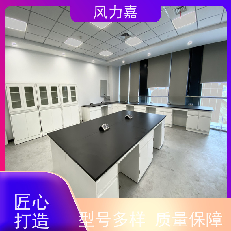 化验室工作台个性化定制风力嘉品牌生产厂家