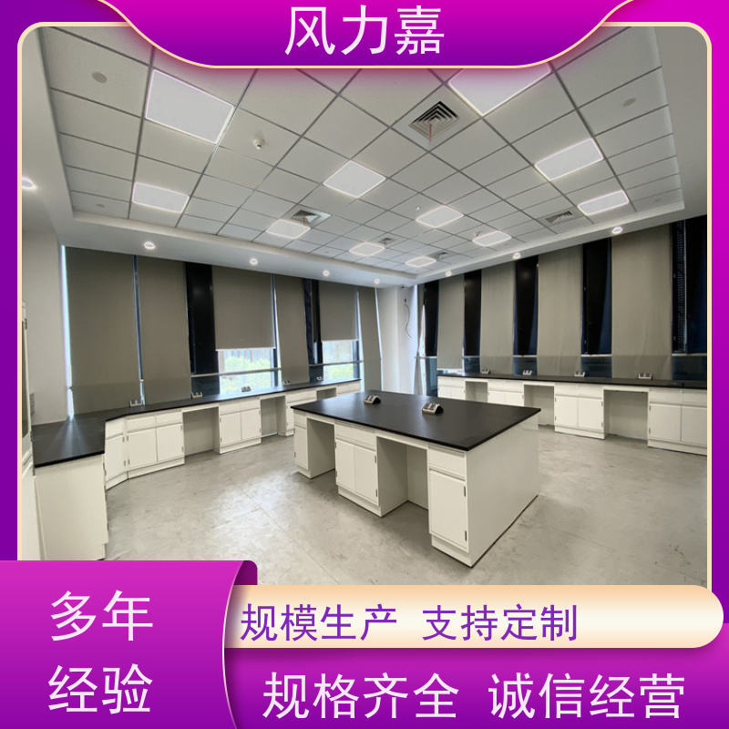 实验室控制台研发分析室用风力嘉品牌生产厂家