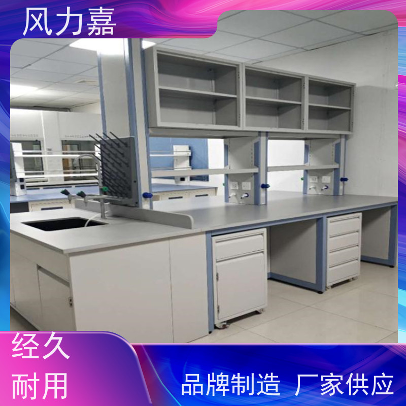 化验室中央实验台可承受较大荷载风力嘉品牌厂商