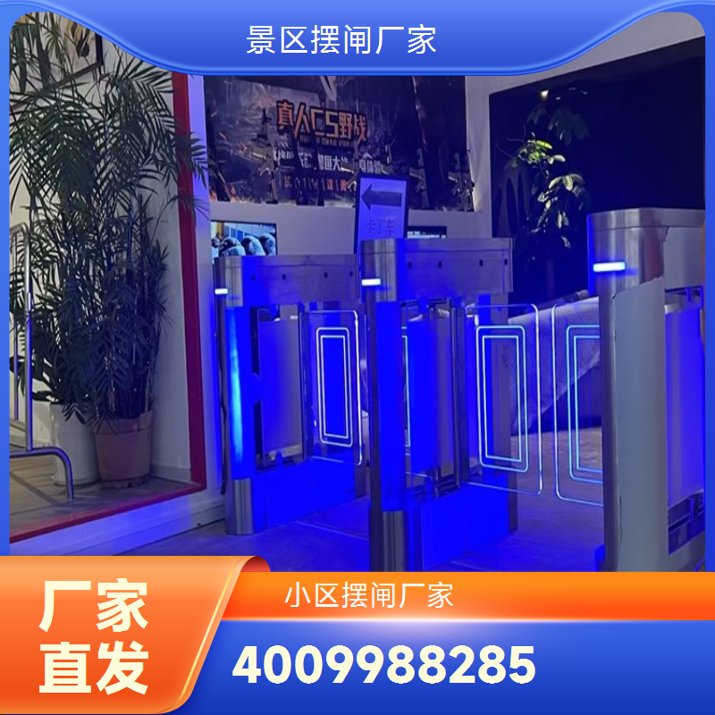 学校摆闸生产厂家 规模生产发货迅速 品牌质保通行设备