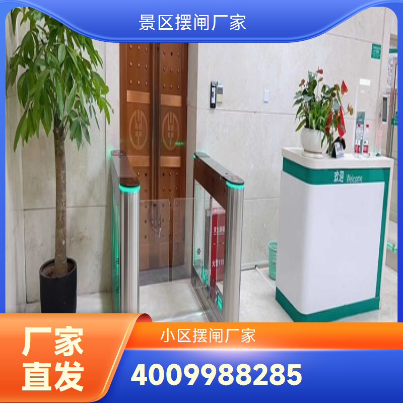 景区摆闸定制厂家 现货充足发货迅速 智能安防系统