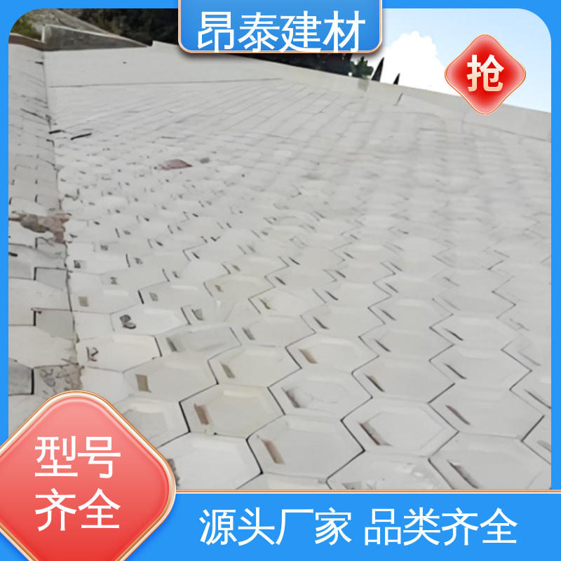 实力商家 仿花岗岩砖 耐磨耐风化 做工精细 六棱护坡砖