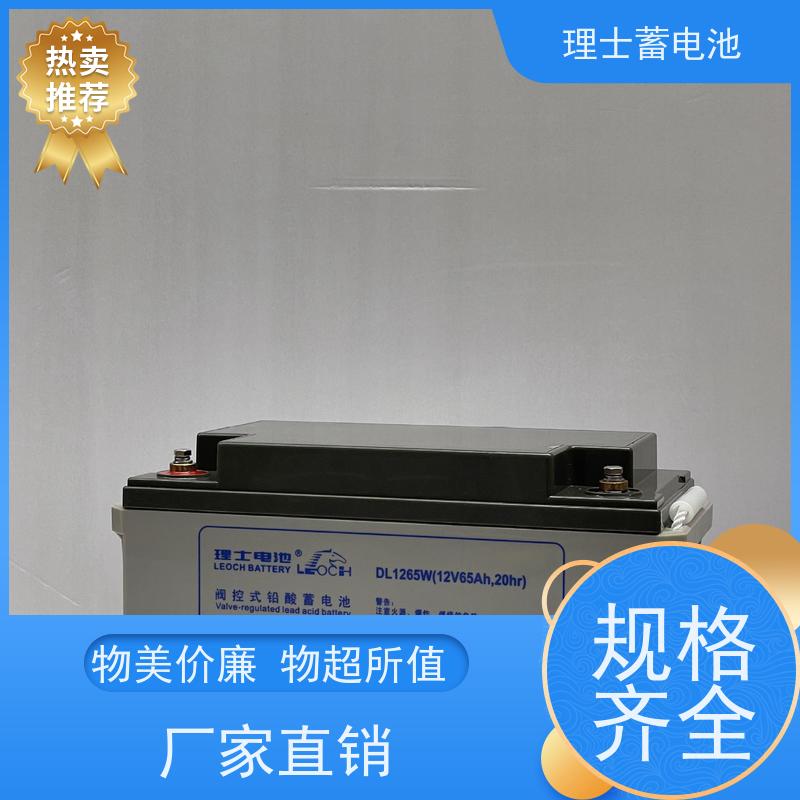 理士工厂 DJW1224 铅酸蓄电瓶ups EPS直流屏专用 实力厂家