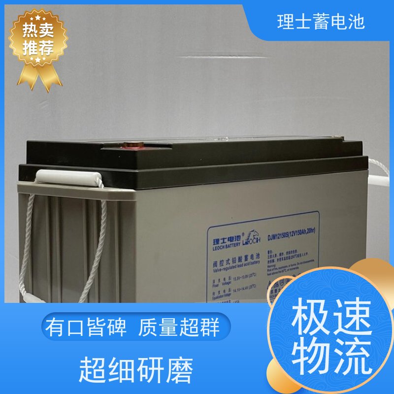 LEOCH理士蓄电池 12V100AH 铅酸储能电瓶 质保三年