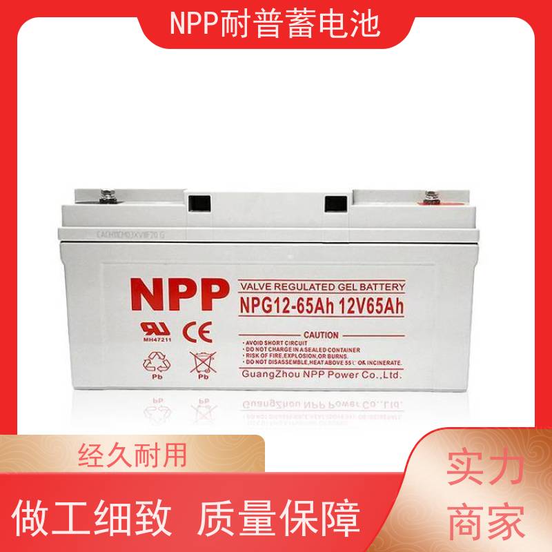 耐普电源 12V65AH 适用光伏通信消防 维修维保服务