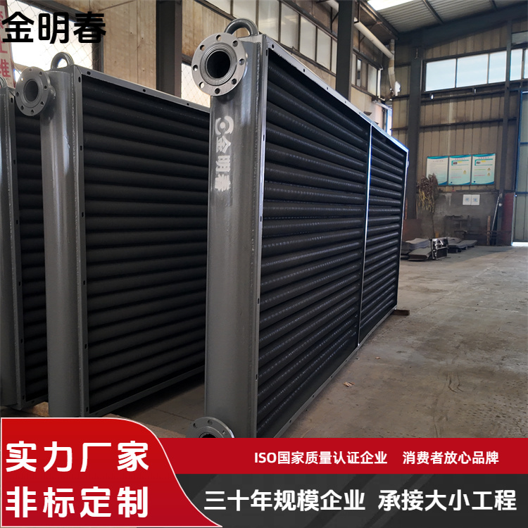 金明春 厂家 锅炉余热回收器 效率高污染小 规格齐全