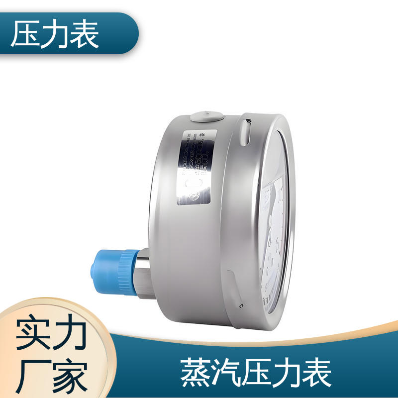 天康 Y-M 系列 压力表 经济性佳 类型多样 源头厂家 品类齐全