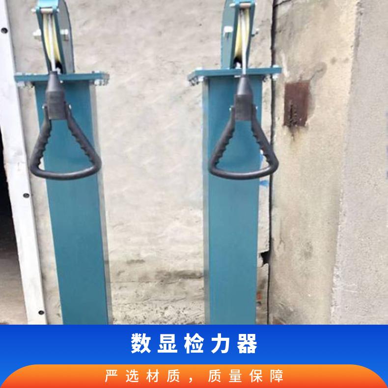 JLQ-20碳钢语音数显检力器 训练体能检测耐力