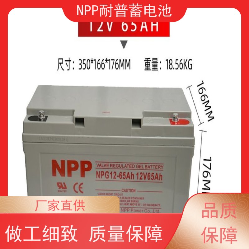 耐普电池 12V24AH 阀控式密封储能型 维修维保服务