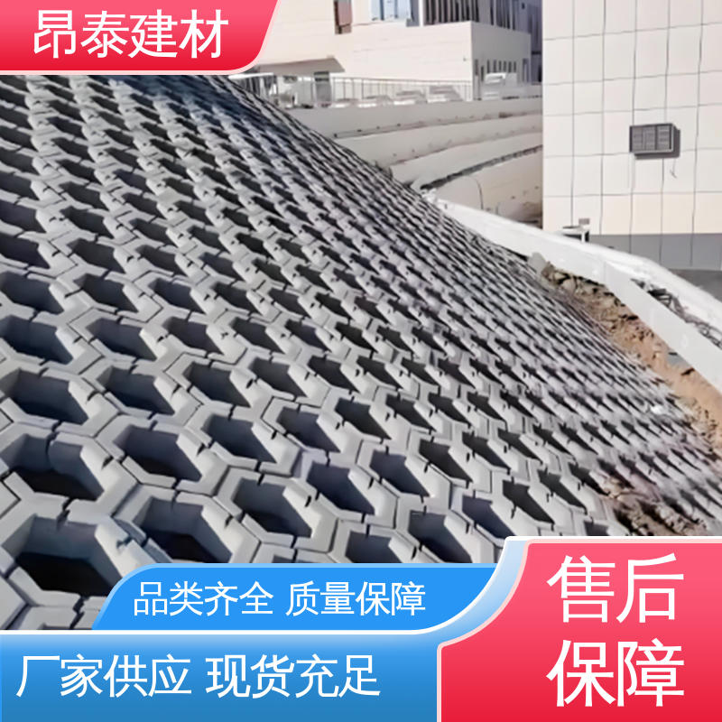 坚固牢靠 六角护坡砖 尺寸按需生产 抗剪能力强 源头工厂