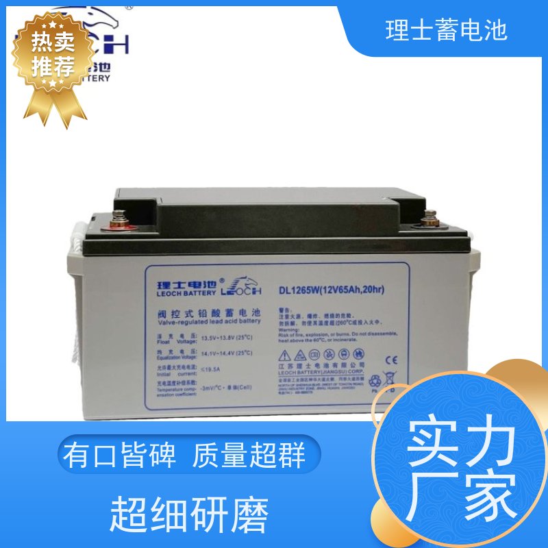 理士蓄电池 DJM1265S 适用EPS ups电源 质量保证