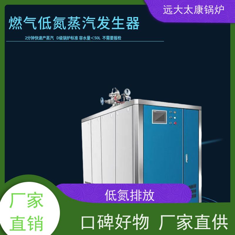 远大太康 电镀 化工 D级蒸汽发生器 低氮冷凝 热效率高达98% 