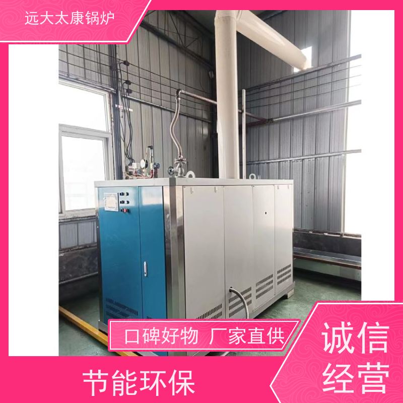 远大太康D级锅炉 工业级免上户设备 容水量<50L 智能变频