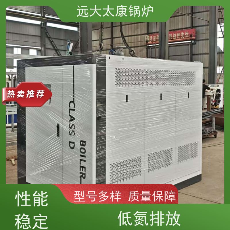 远大太康 电镀 化工 d级燃气蒸汽锅炉 1吨 用户免报检